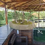 Nippon Tranquillity Bed & Breakfast