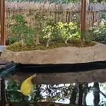 Bed & Breakfast Nippon Tranquillity