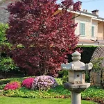 Nippon Tranquillity Bed & Breakfast Carobbio degli Angeli