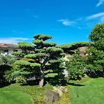 Nippon Tranquillity