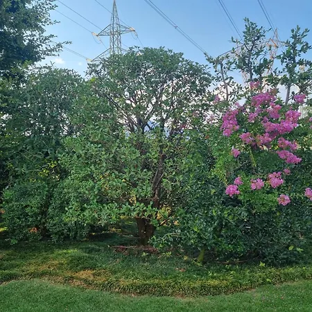 Bed & Breakfast Nippon Tranquillity