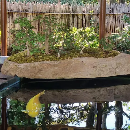 Bed & Breakfast Nippon Tranquillity