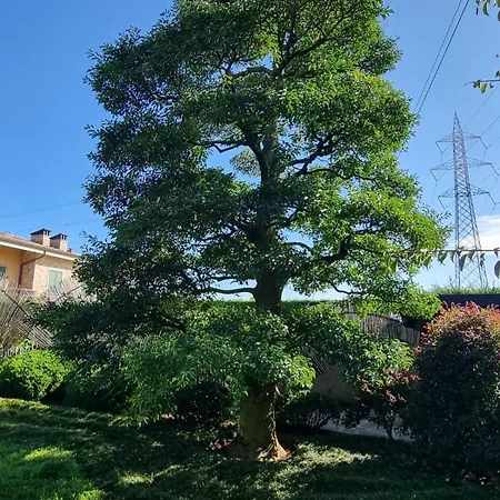 Nippon Tranquillity 4* Carobbio degli Angeli