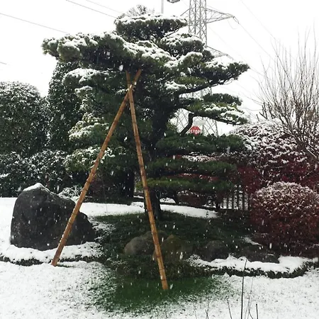 Nippon Tranquillity 4* Carobbio degli Angeli