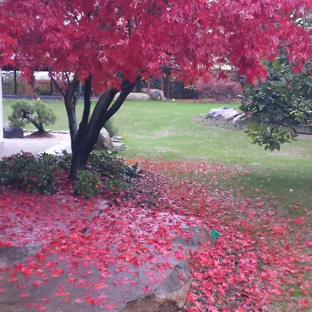 Nippon Tranquillity 4*