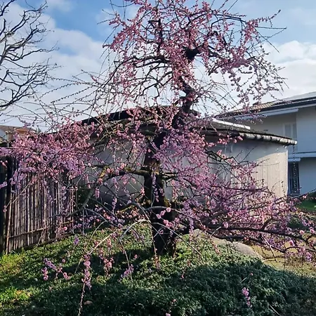 Nippon Tranquillity 4* Carobbio degli Angeli