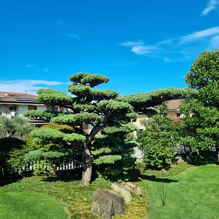 Nippon Tranquillity