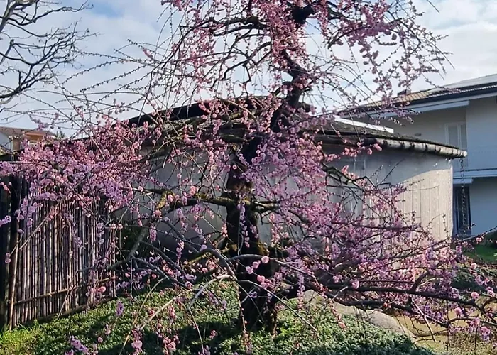 Nippon Tranquillity 4* Carobbio degli Angeli